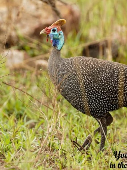 WhatsApp Image 2025-11-03 at 12.40.45